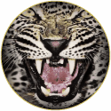 Leopardo do Gilé