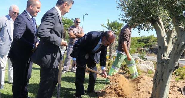 Ministro do Ambiente planta uma oliveira