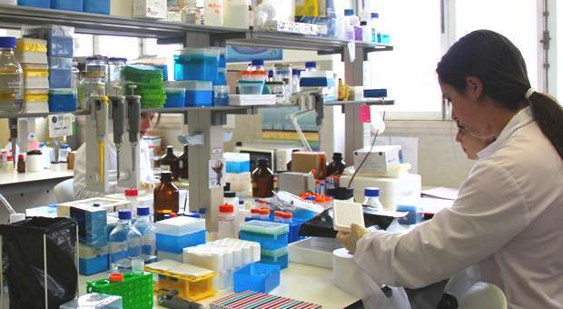 Biotecnologia da UCoimbra conquista novos projetos
