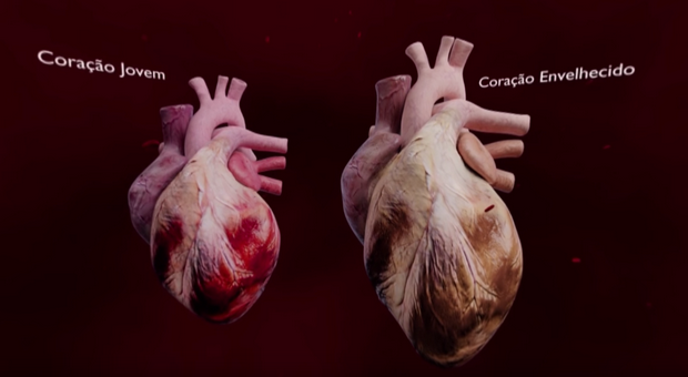 Gema Digital apresenta solução sobre o envelhecimento do coração