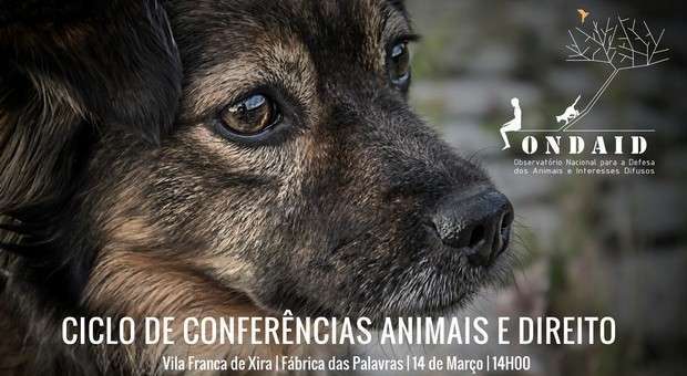 Conferência Animais e Direito em Vila Franca de Xira