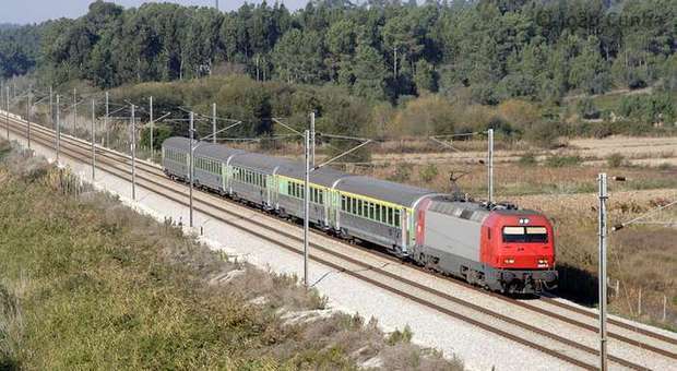 A CP Comboios de Portugal reedita a Rota da Lampreia