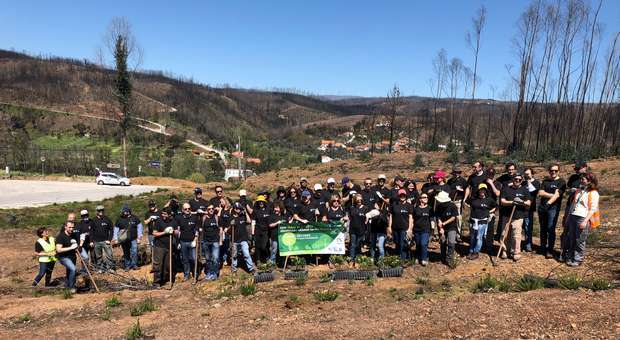 Voluntários da Altice Portugal plantam 1000 medronheiros