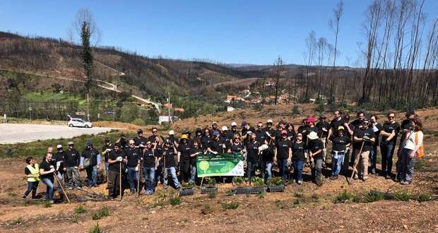 Voluntários da Altice Portugal plantam 1000 medronheiros