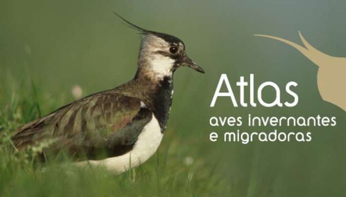1º Atlas das Aves Invernantes e Migradoras de Portugal