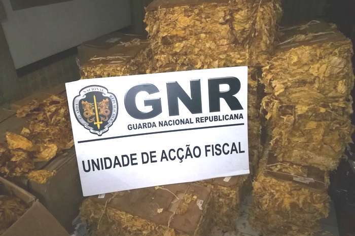 GNR apreende meia tonelada de folhas de tabaco