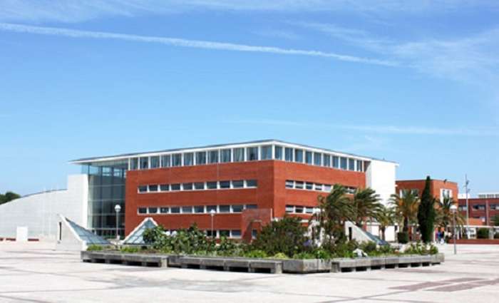 A UNAVE da Universidade de Aveiro, promove o plano de formação em Cibersegurança, destinada a empresários e outros decisores.