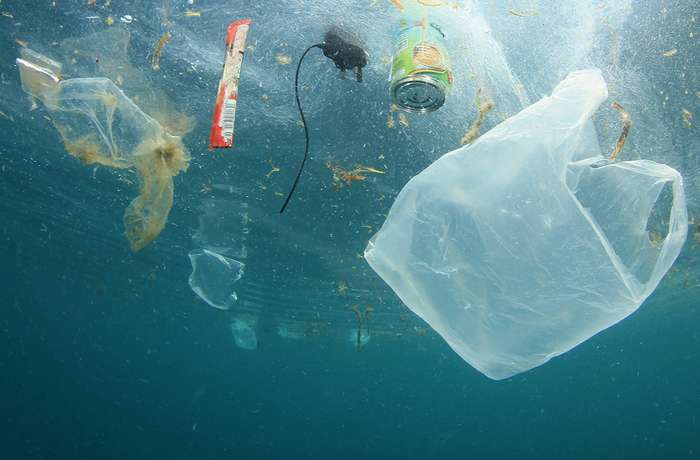Plastic in the oceans