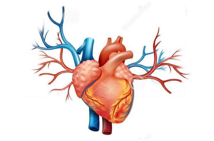Doenças cardiovasculares são causa de morte na Mulher