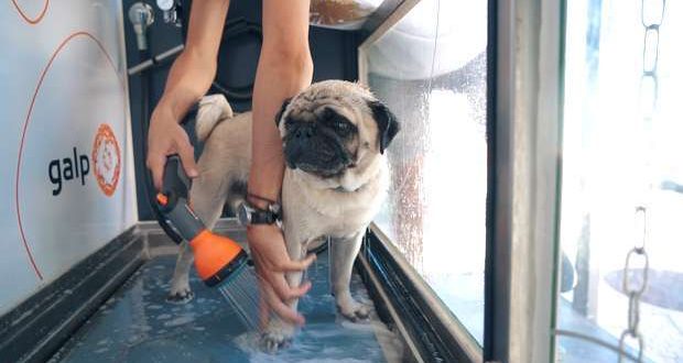 A Galp inaugura o primeiro "Dog Wash" no Oeiras Parque