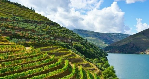 As marcas Douro e Porto estão protegidas no Reino Unido
