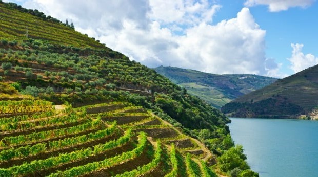 As marcas Douro e Porto estão protegidas no Reino Unido
