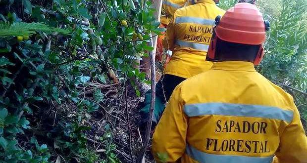 O Municipio de Alcoutim apoia a Associação Cumeadas - Associação de Proprietários Florestais das Cumeadas do Baixo Guadiana, com uma comparticipação financeira para o desenvolvimento de ações de prevenção e proteção de fogos florestais.