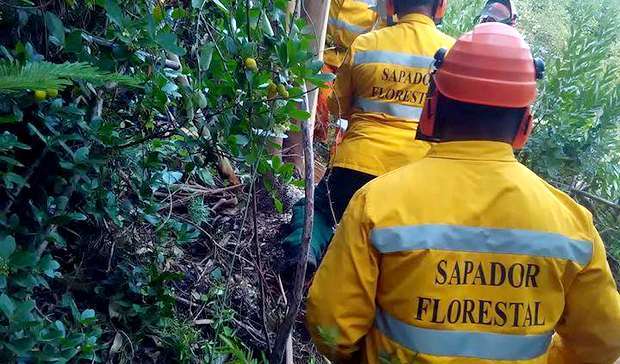 O Municipio de Alcoutim apoia a Associação Cumeadas - Associação de Proprietários Florestais das Cumeadas do Baixo Guadiana, com uma comparticipação financeira para o desenvolvimento de ações de prevenção e proteção de fogos florestais.