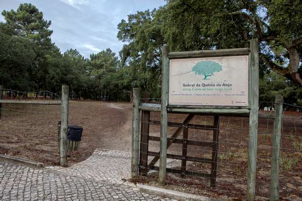 Aprovada a Pista Check-Up de Quinta do Anjo