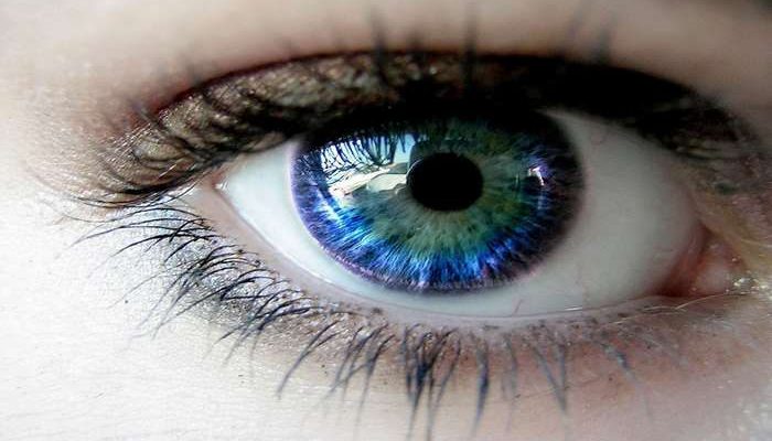 Debate: A APLO assinala o Dia Mundial da Optometria
