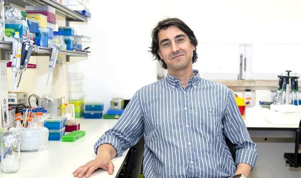 UC desenvolveu Nanopartícula de Combate ao Cancro