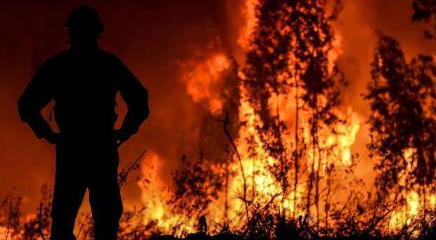 Até Março arderam 5.477 hectares nos 1200 incêndios