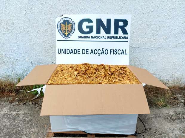 GNR apreendeu 200 quilos de folha de tabaco