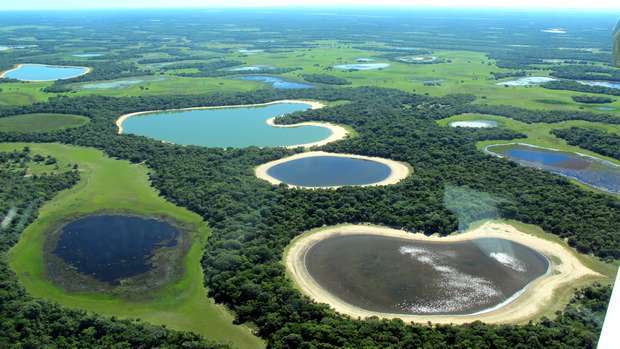O Brasil convida a conhecer a sua biodiversidade