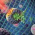 UMinho: Nanomateriais para terapia do cancro