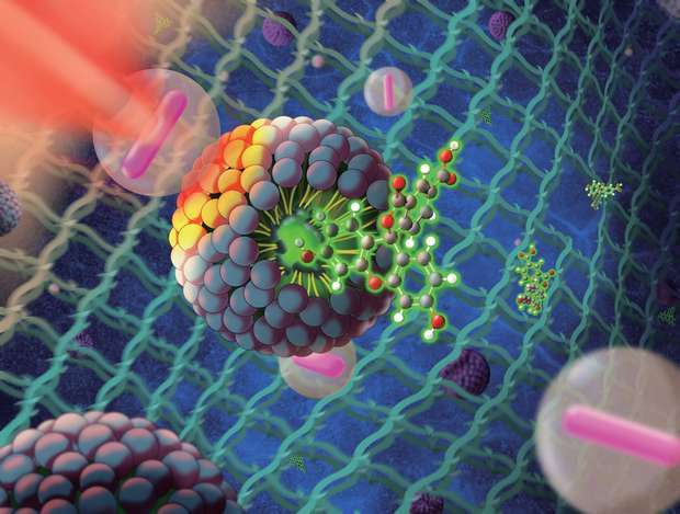 UMinho: Nanomateriais para terapia do cancro