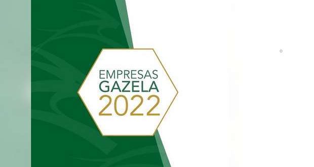 Empresas Gazela reconhecidas na Região Centro