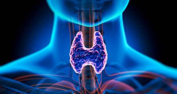 Doença da tiroide podem afetar a fertilidade