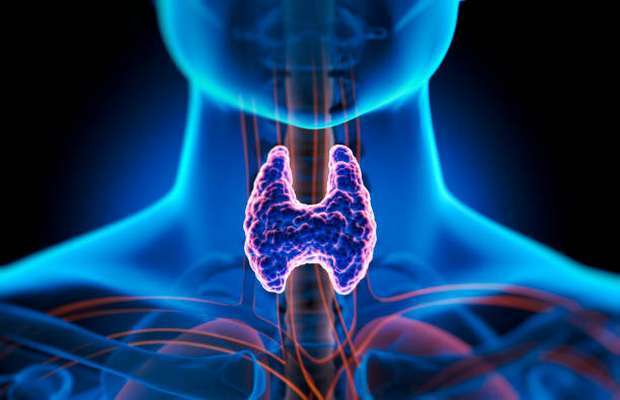 Doença da tiroide podem afetar a fertilidade